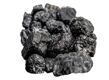 Steam Coal & Concentrate